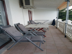 Apartamenty Villa Palma Ribarica Cesarica