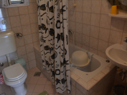 Apartamenty   Villa  Carrington Novalja (Wyspa Pag)