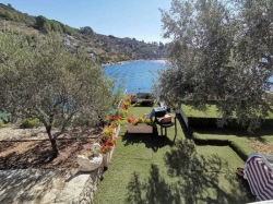 Apartamenty villa rosa Vela Luka (Wyspa Korčula)