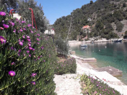 Apartmany villa rosa Vela Luka (Ostrov Korčula)