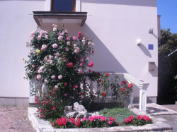 Apartmenthaus Villa Brucker  Kozino