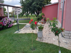 Apartmenthaus Apartmani.Dragica Porec