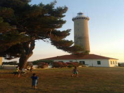 Appartamenti Ivan Veli Rat (Isola Dugi Otok)