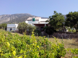 Casa vacanza Ana Bol (Isola Brac)