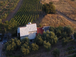 Dom wakacyjny Ana Bol (Wyspa Brač)